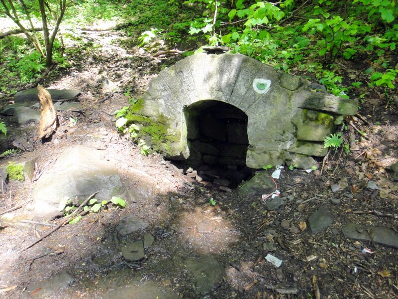 ملف:Prameň Klastavského potoka.JPG