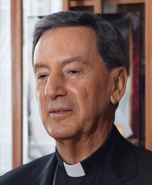 ملف:Rubén Cardenal Salazar (cropped).JPG