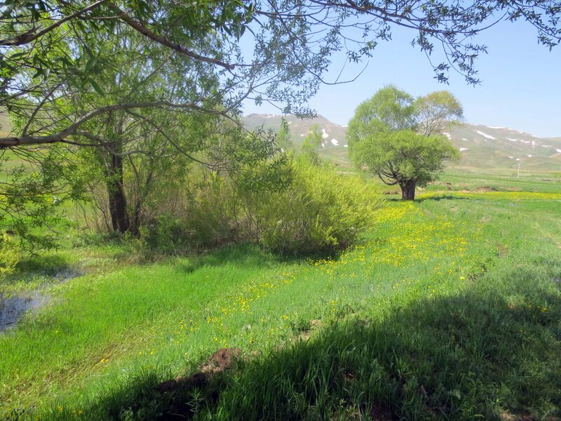 ملف:Village wilderness Chanaghchi.JPG