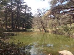 بُحيرة تقعُ في المكان المُسمّى جاج الما.