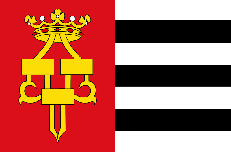 ملف:Drachten vlag.svg