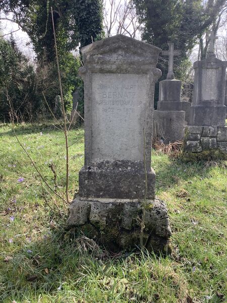 ملف:Grab-Johann-Martin-Bernatz-Alter-Suedl-Friedhof-Muenchen-GF-28-10-18.jpg