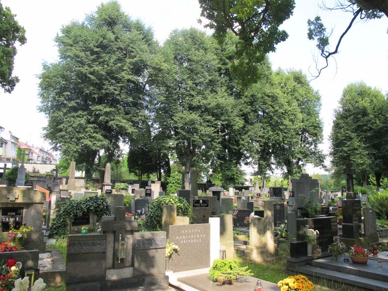 ملف:Hřbitov v Turnově 08.JPG