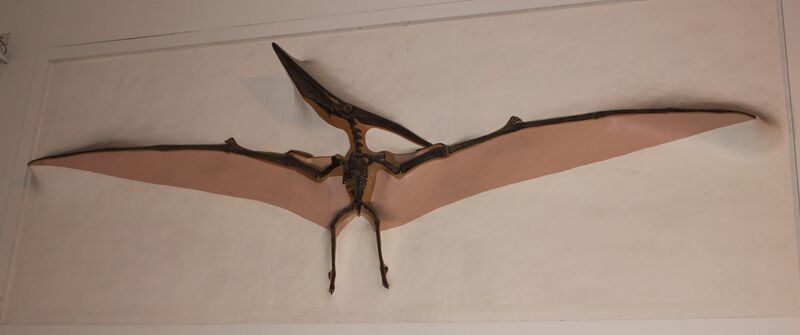 ملف:London Pteranodon.jpg