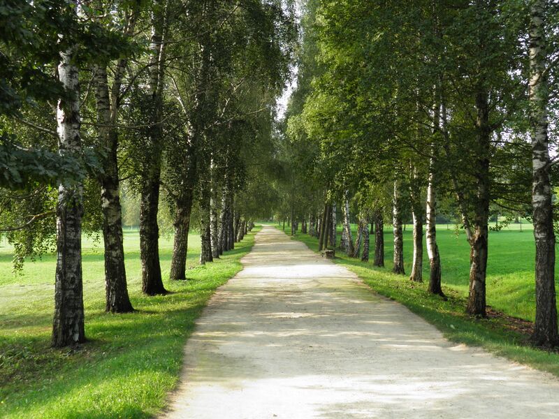 ملف:Neretasparks.JPG
