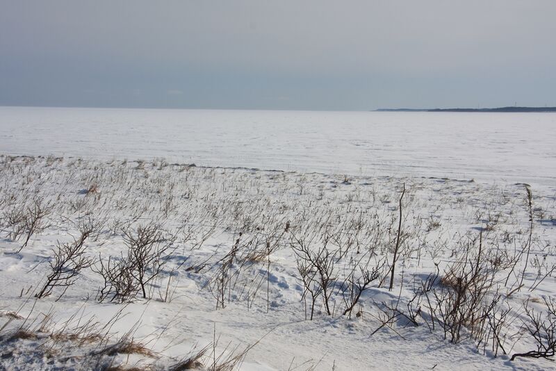 ملف:Notsuke Bay (2013-02-24).JPG