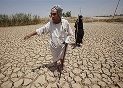 التصحر في الجزائر1.jpg