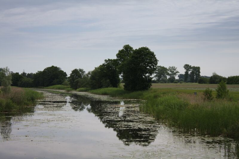 ملف:Wisla Krolewiecka 008.jpg