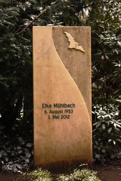 ملف:2021-02-06 Grabmal Elke Muehlbach.JPG