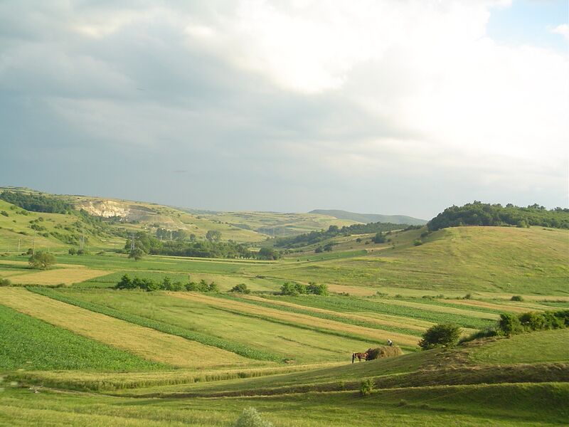 ملف:Landscape in Transylvania.jpg