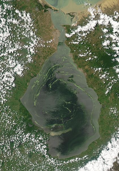 ملف:Maracaibo MODIS 2004jun26.jpg