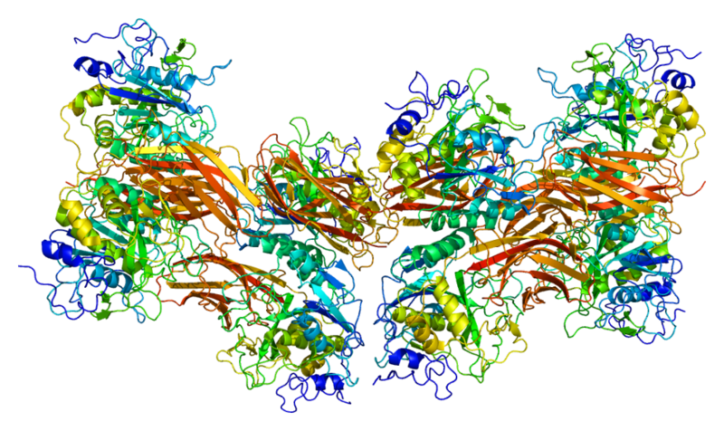 ملف:Protein FURIN PDB 1p8j.png