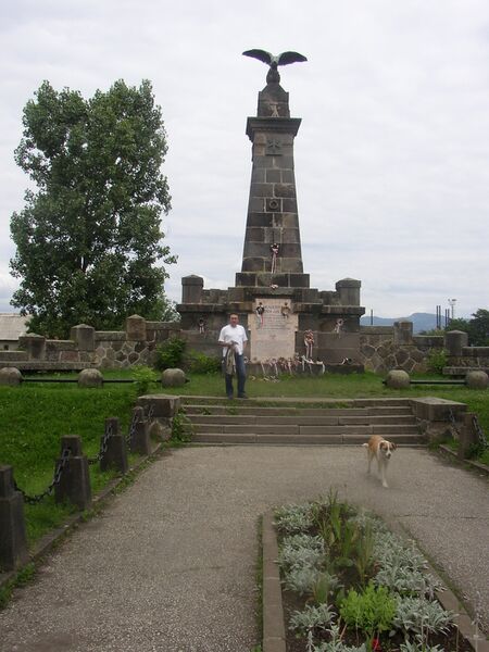 ملف:Siculycidium, Siculeni, Transylvania.JPG