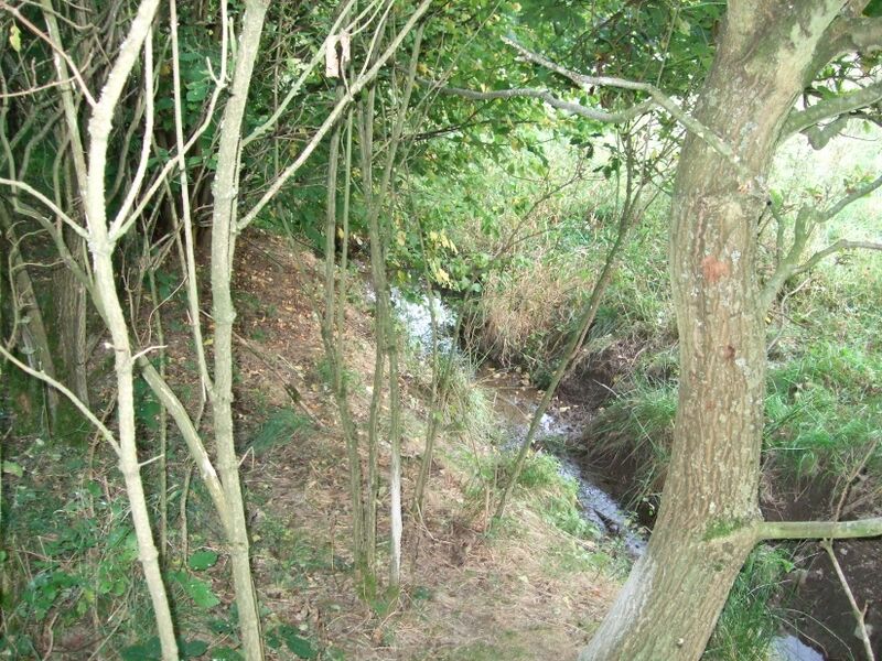 ملف:2009 0926Aarquelle0021.JPG