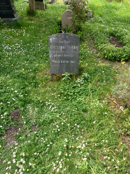 ملف:Grab Hermann Hering.jpg