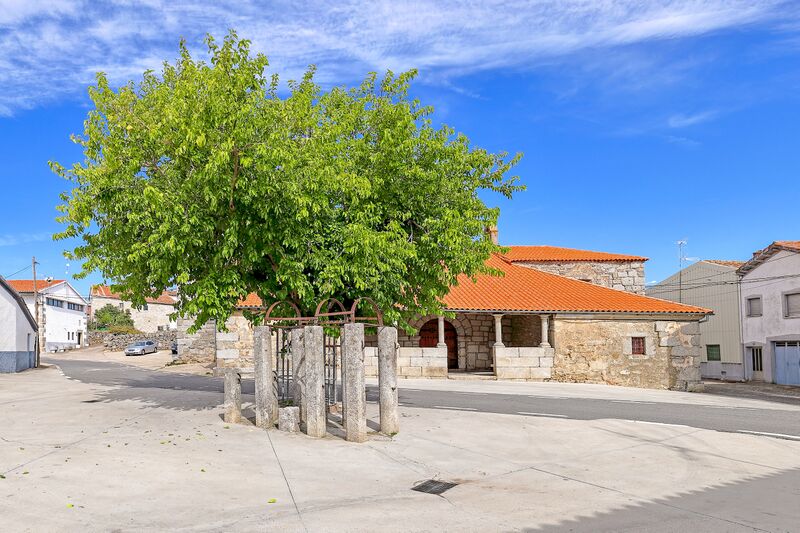 ملف:Potro en Aldeacipreste.jpg