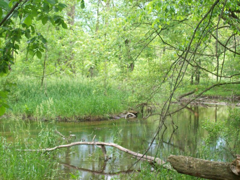 ملف:Prairie River, Michigan.jpg
