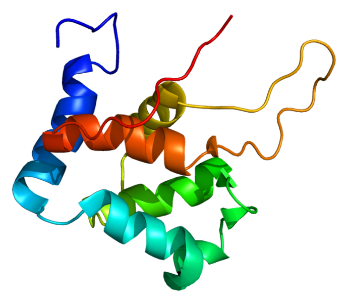 ملف:Protein DGKA PDB 1tuz.png
