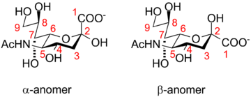 Neuraminic acid anomeric configuration