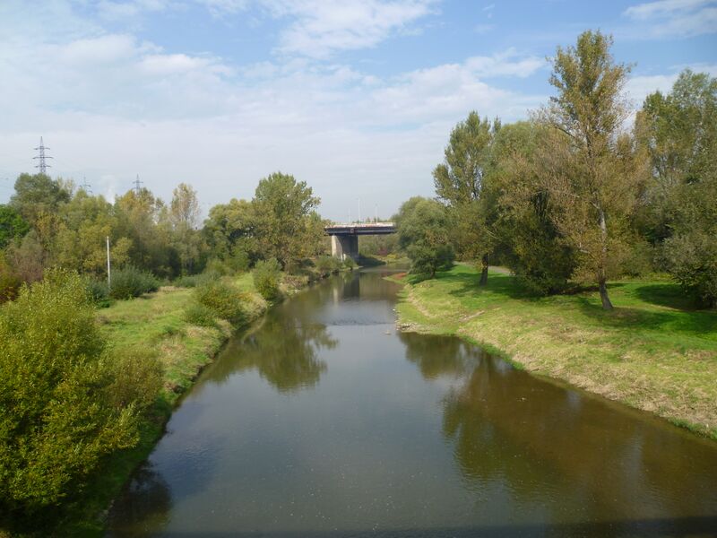 ملف:Řeka Odra.JPG