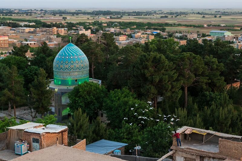 ملف:مرتضی امین الرعایایی (2).jpg