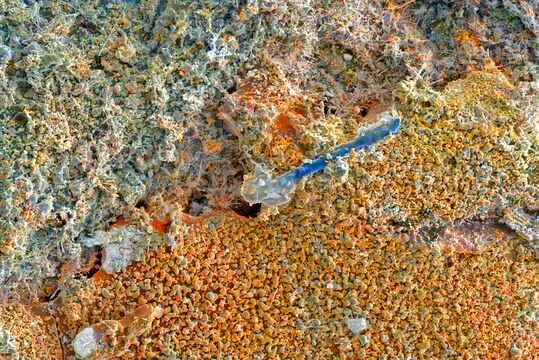 Fumarole minerals in natural colours