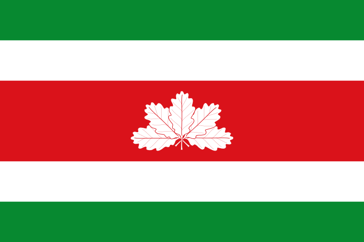 ملف:Flag of Boyacá Department.svg