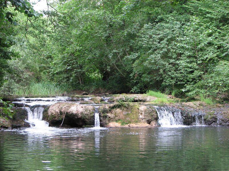 ملف:Gland Riviere.JPG