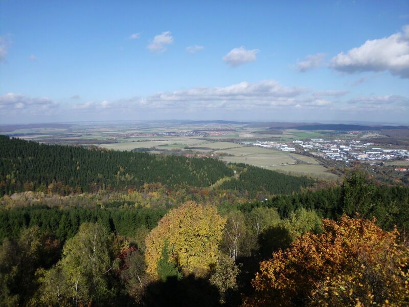 ملف:Goslar-Baßgeige vom Steinberg.JPG
