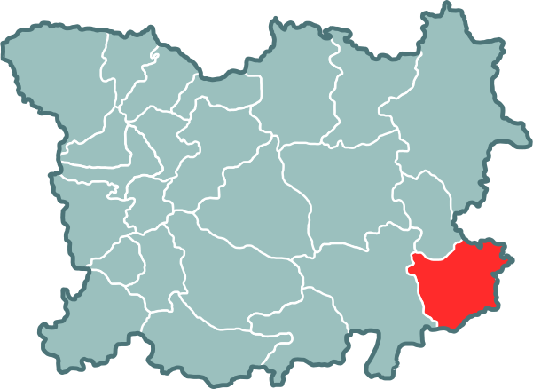 ملف:Staradubski paviet. Старадубскі павет.svg