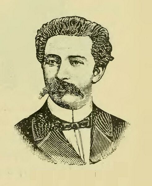 ملف:Demétrio Ribeiro.JPG