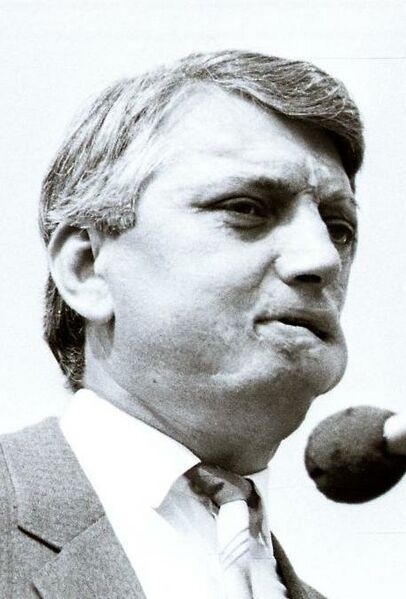 ملف:Valeriu Muravschi (cropped).jpg