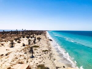 زلطن جزيرة فروة لسان رملي.jpg