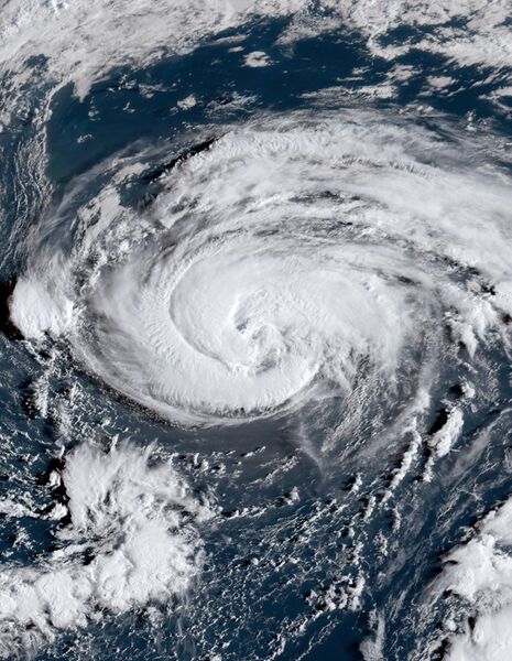 ملف:Danielle 2022-09-05 1020Z.jpg