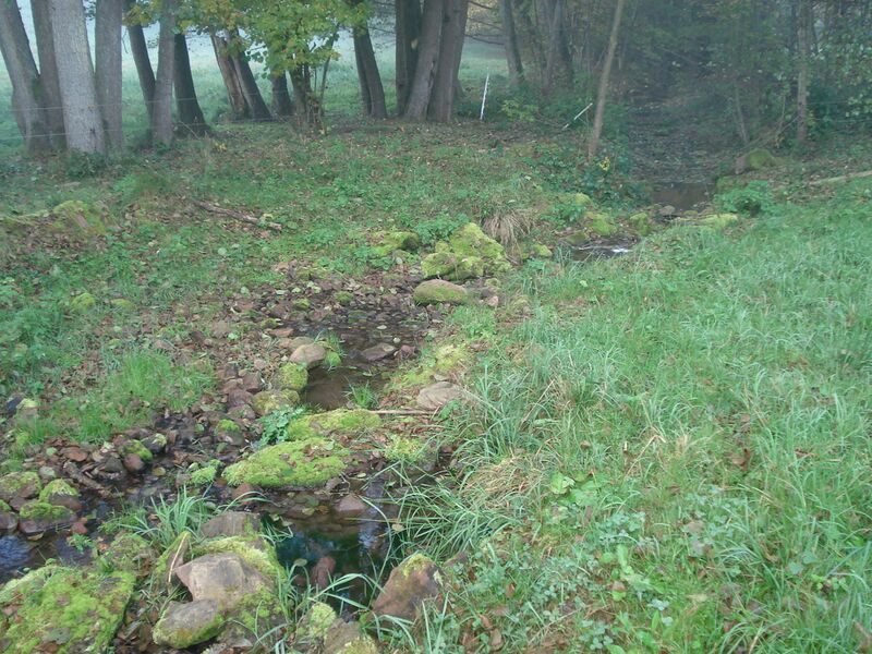 ملف:Reichartshauser Bach.JPG