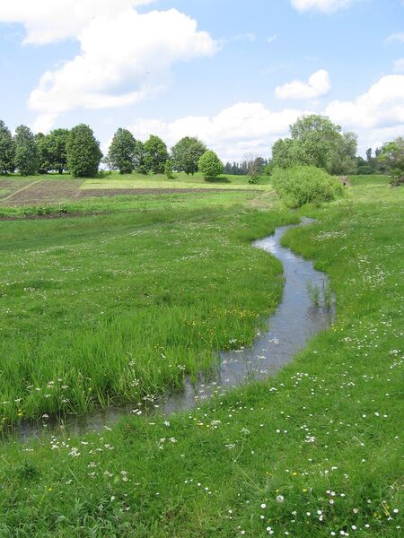 ملف:Soshen` river.JPG