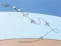 تصغير للنسخة بتاريخ 00:33، 4 سبتمبر 2009