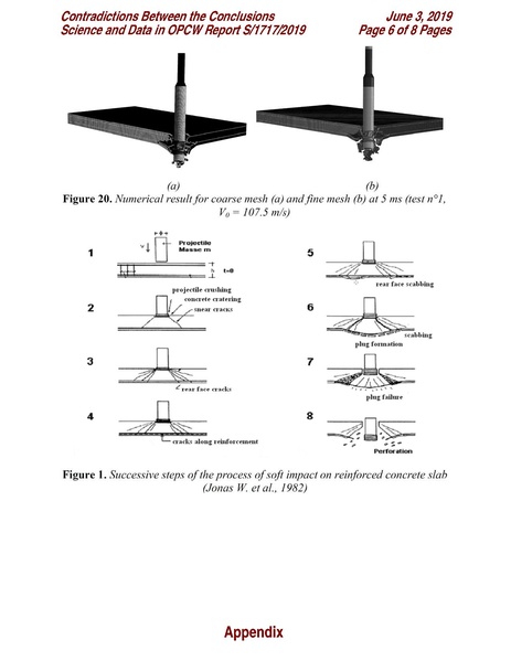 ملف:Contradictions-Between-the-Conclusions-Science-and-Data-in-OPCW-Report-S 1717 2019 June-3-2019 .pdf