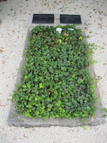 ملف:Erdey-Grúz Tibor sírja.JPG