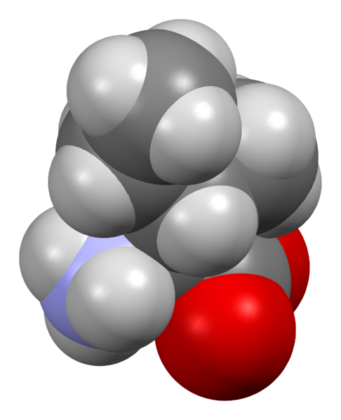 ملف:Isoleucine-from-xtal-3D-sf.png