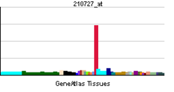 PBB GE CALCA 210727 at tn.png