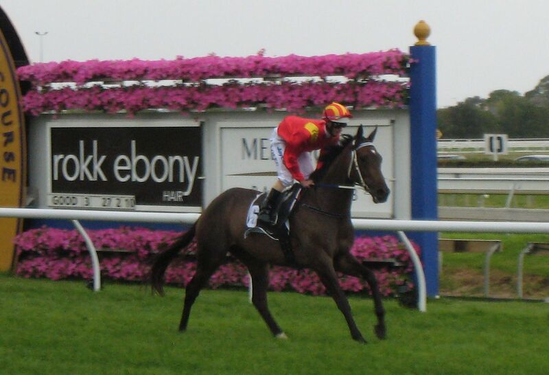 ملف:Typhoon Tracy 20100227.jpg