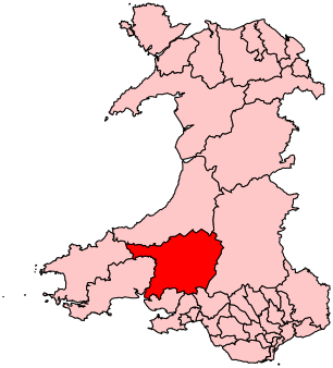 ملف:CarmarthenEastDinefwr2007Constituency.svg