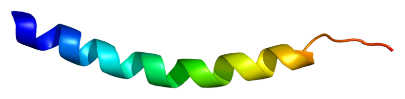 ملف:Protein ADRA2C PDB 1hll.png