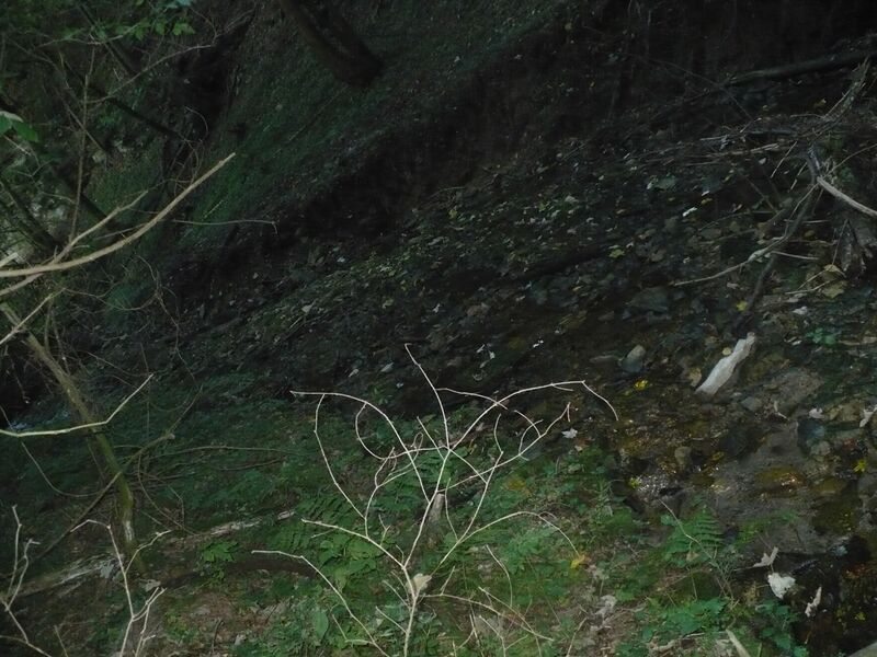 ملف:Lukovský potok.JPG