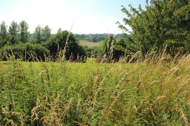 ملف:Parkbos-Uilenbroek 24.jpg