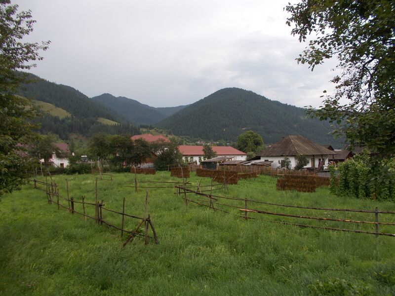 ملف:RO NT Dreptu.JPG