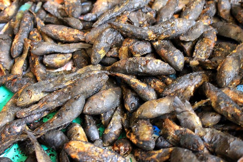 ملف:Smoked freshwater fish.JPG