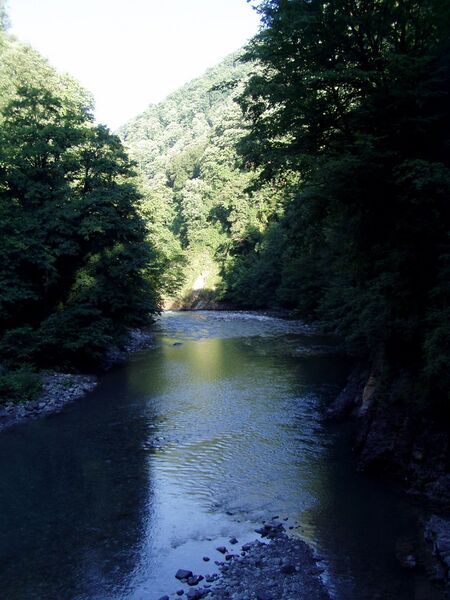 ملف:Sochi river.JPG