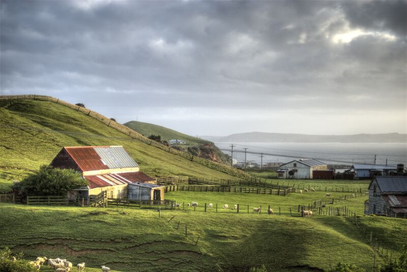ملف:View from Chatham Islands.jpg